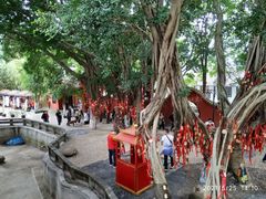 -白帝城·瞿塘峡景区