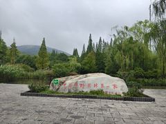 -习家池
