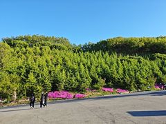 -《神游传奇》秀