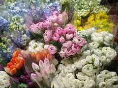 -循礼门鲜花花市(武汉循礼门店)