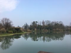 -桤木河湿地公园