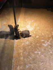 -酷嗒动物文化乐园(cutezoo西溪乐天城店)