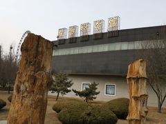 -石家庄市植物园