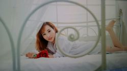 点击看大图 -苏菲亚婚纱影楼尊爵店(昆区店)