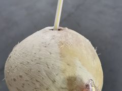 -兴隆华侨农场