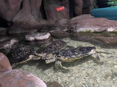 -南昌海洋公园