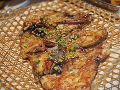 -京城·森鸽排档(双井店)