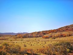 -塞罕坝国家级自然保护区