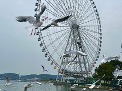 -蠡湖大桥公园