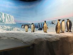 -浙江自然博物院(杭州馆)