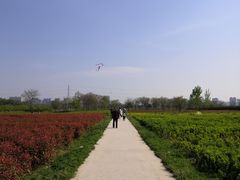 -汉长安城未央宫国家考古遗址公园