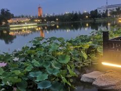 -西海子公园