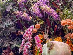 -正佳雨林生态植物园