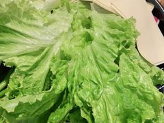 -鸽子刘铁锅炖鱼(劲松店)