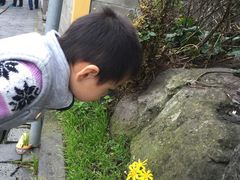 -龙头岩(Dragon Head Rock)