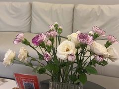 -象泰SPA·泰式按摩·足疗(卓悦中心店)