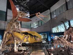 -湖南省地质博物馆