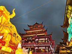 -鲜得来排骨年糕(豫园店)