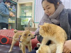 -瑞派天宁宠物医院·猫科·异宠中心