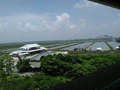 -大湾区中央湿地公园