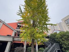 -翠园十八号庭院餐厅