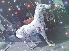 -中国湿地博物馆