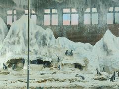 -帝企鹅自助餐厅•儿童岛•真企鹅(长隆企鹅酒店)