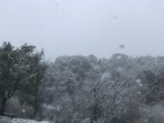 -武昌江滩