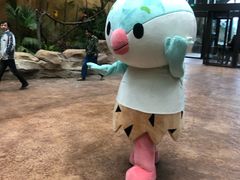 -杭州开元森泊度假乐园