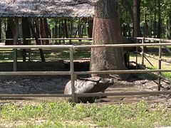 -秦皇岛野生动物园