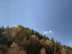 -苏木山森林公园