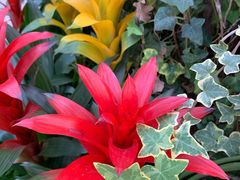 -北京植物园-展览温室