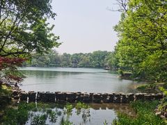 -紫霞湖公园