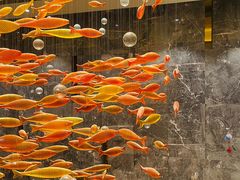 -金满楼(天河中路店)