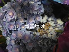 -植物学家的女儿(北马道巷店)