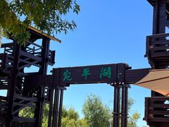 -绿堤公园