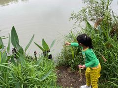 -长兴太湖图影湿地文化园