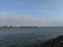 -滨海公园
