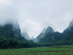 -明仕田园