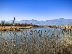 -野鸭湖国家湿地公园
