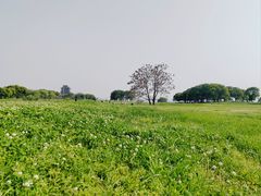 -阳澄湖半岛旅游度假区