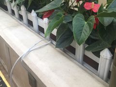 -利顺德大饭店·维多利亚花园(小白楼店)