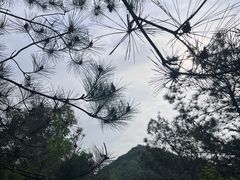 -午潮山国家森林公园