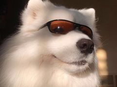 -帝豪斯健身俱乐部(市府恒隆广场店)