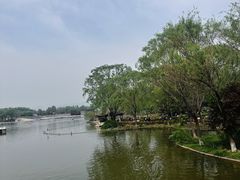 -石家庄市植物园