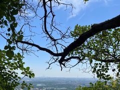 -北京西山国家森林公园