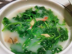 -新兴·金羊座·粤菜点心(乐峰店)