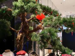 -绿茶餐厅(千岛湖银泰城店)