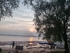 -丁香湖公园