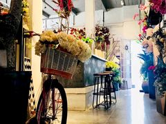 -蓝山四季西餐植物店